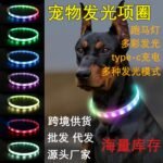 Трансграничные спотовые LED домашние животные светящиеся зарядные ошейники ослепительные светящиеся собачьи веревки светящиеся ошейники светящиеся ошейники