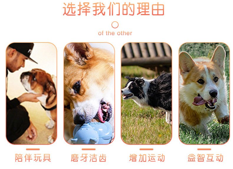 详情页